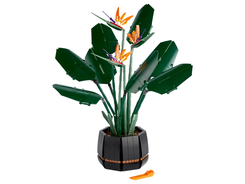 LEGO® Bird of Paradise 10289