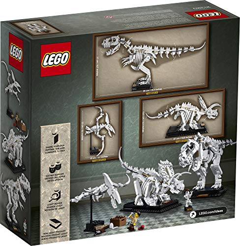 LEGO Ideas 21320 Dinosaur Fossils Brick Island