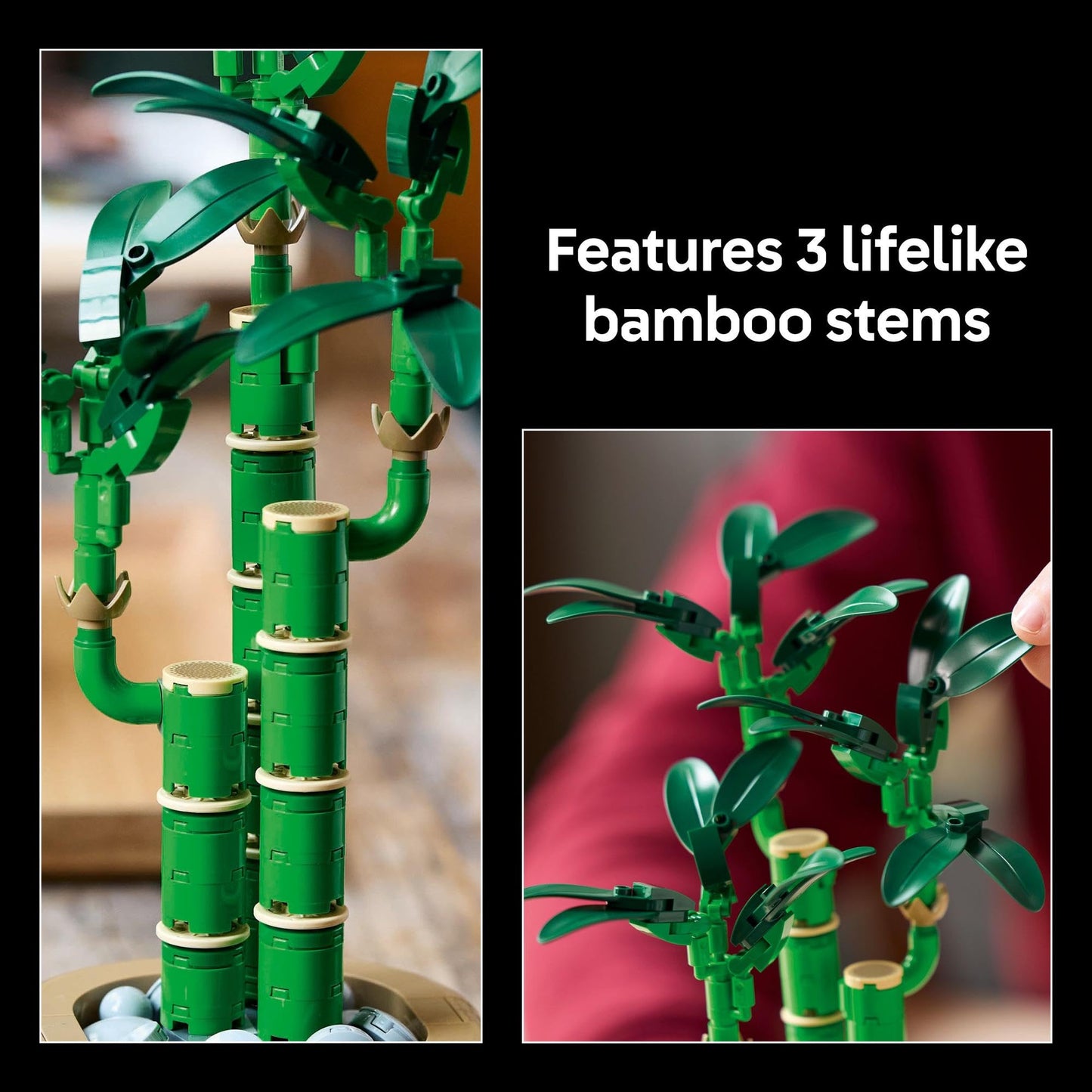 LEGO Botanicals Lucky Bamboo 10344 Brick Island