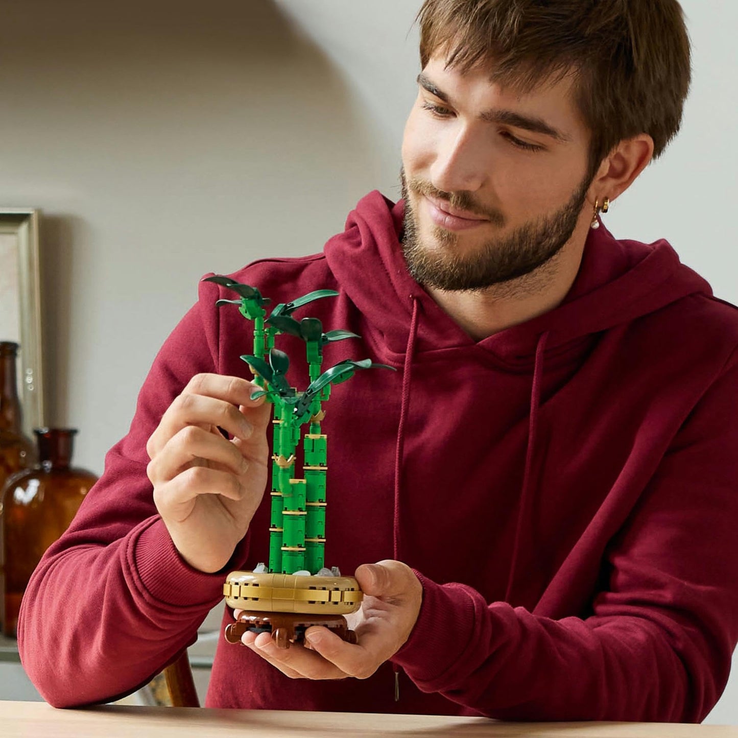 LEGO Botanicals Lucky Bamboo 10344 Brick Island