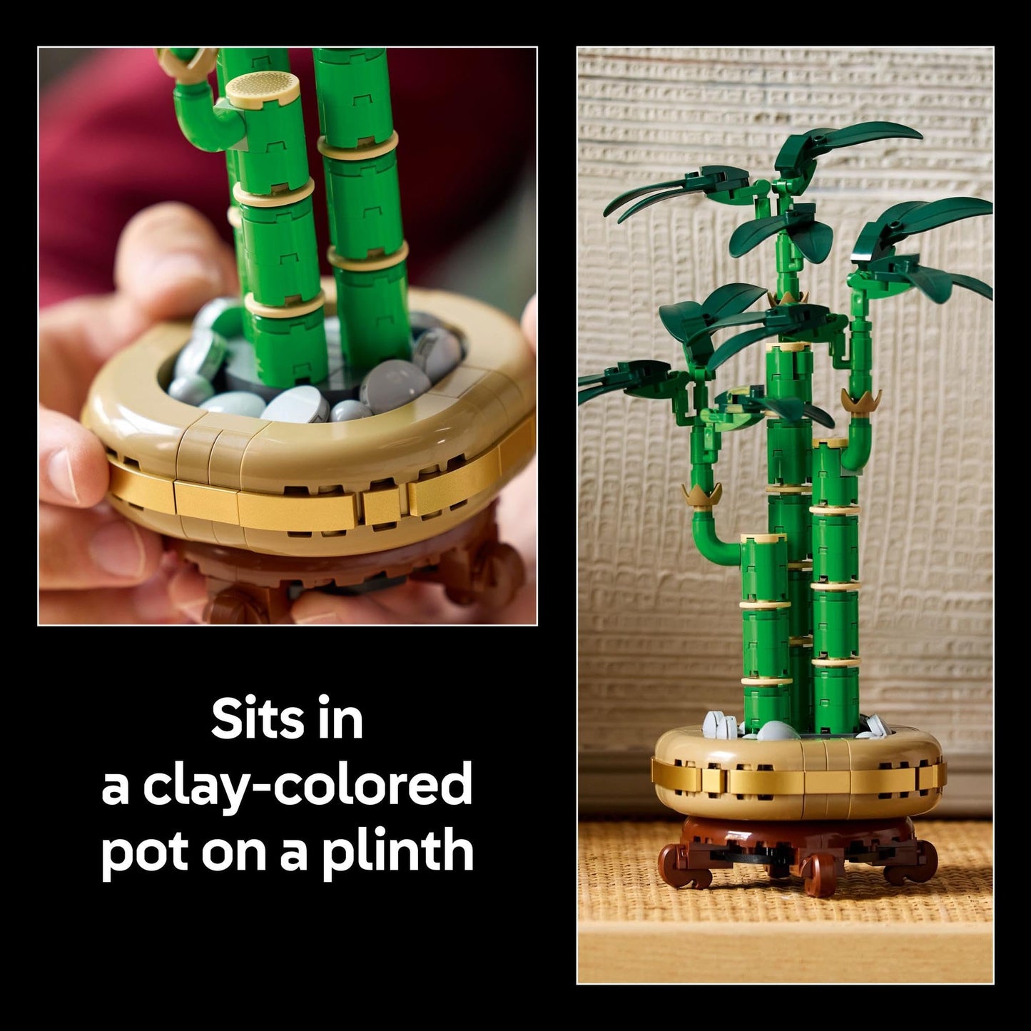 LEGO Botanicals Lucky Bamboo 10344 Brick Island