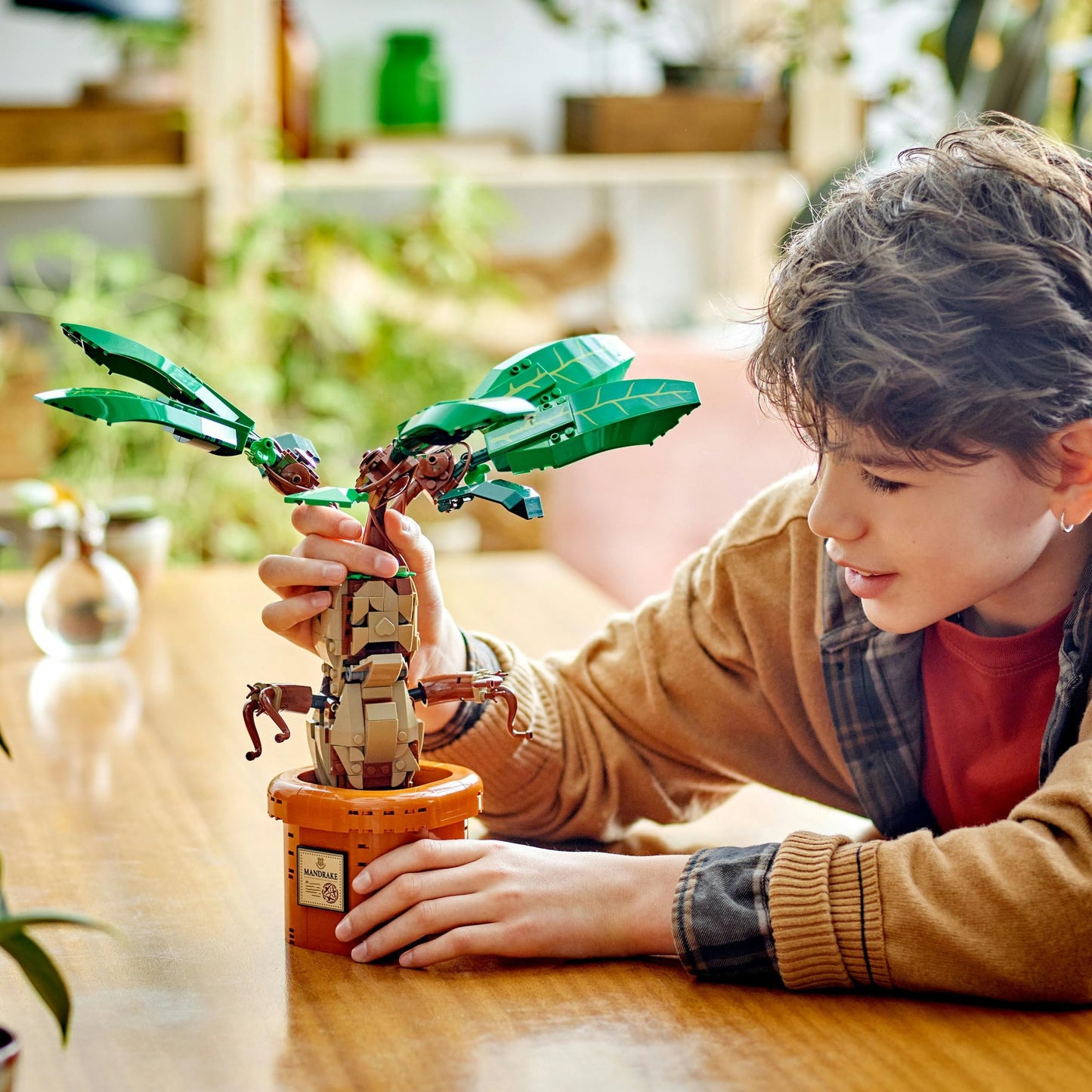 LEGO Harry Potter Mandrake 76433 Amazon