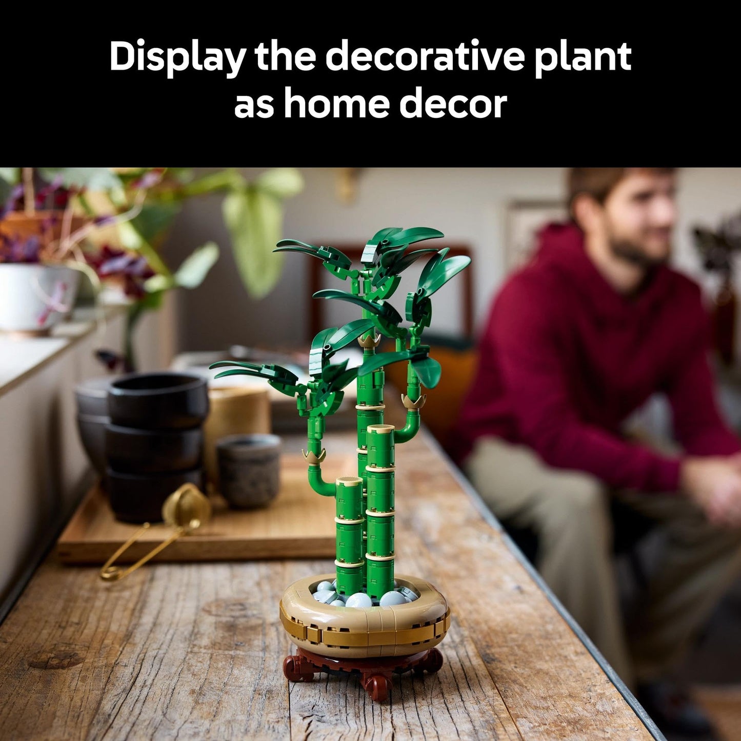 LEGO Botanicals Lucky Bamboo 10344 Brick Island