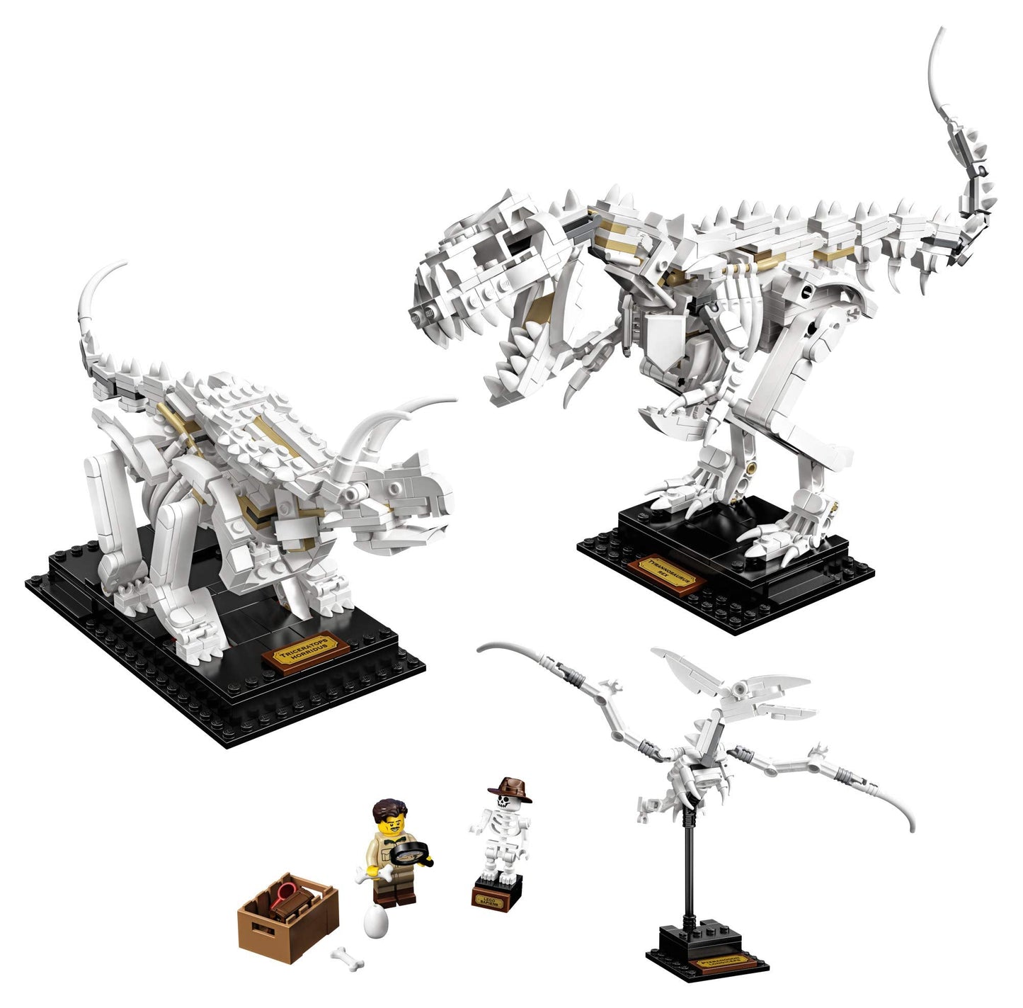 LEGO Ideas 21320 Dinosaur Fossils Brick Island
