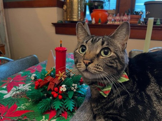 Christmas Table Decoration 40743 4