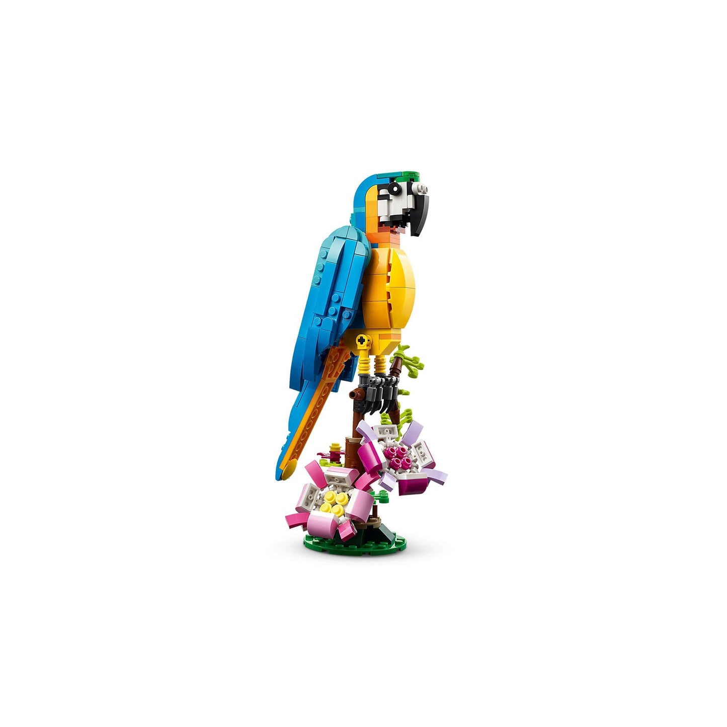 LEGO Creator Exotic Parrot 31136 Brick Island