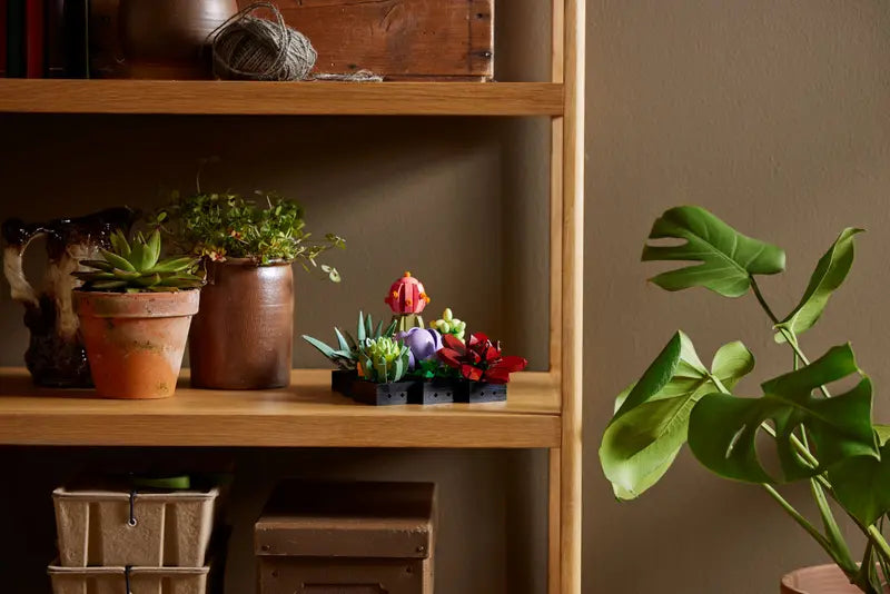 LEGO® Succulents 10309 displayed on a shelf with real plants