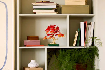 LEGO® Botanicals Japanese Red Maple Bonsai Tree 10348 displayed on a shelf with books and plants
