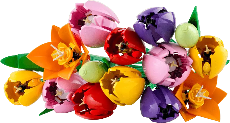 LEGO® Botanicals Tulip Bouquet 11501 includes green buds, purple closed tulips and red, yellow and pink opened tulips