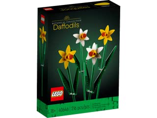 LEGO Botanicals Daffodils 40646