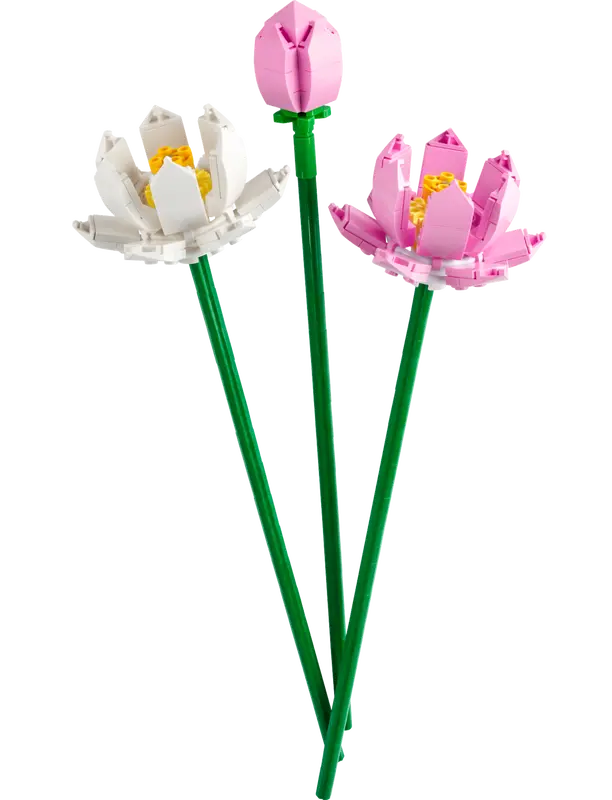  LEGO® Lotus Flowers 40647 features 2 Lotus in full bloom, plus a flower head in bud with long green stems