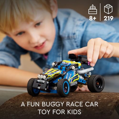 LEGO Technic Off-Road Race Buggy 42164