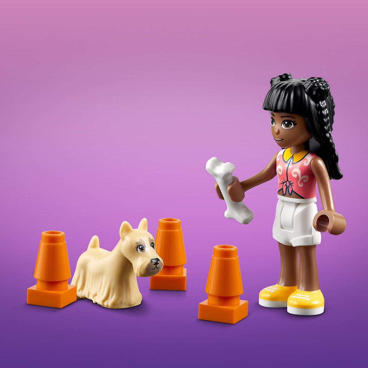 LEGO Friends Pet Day-Care Center 41718