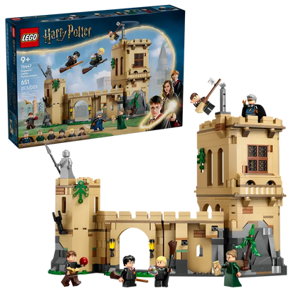 LEGO Harry Potter Hogwarts Castle: Flying Lessons 76447 Brick Island