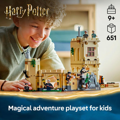 LEGO Harry Potter Hogwarts Castle: Flying Lessons 76447