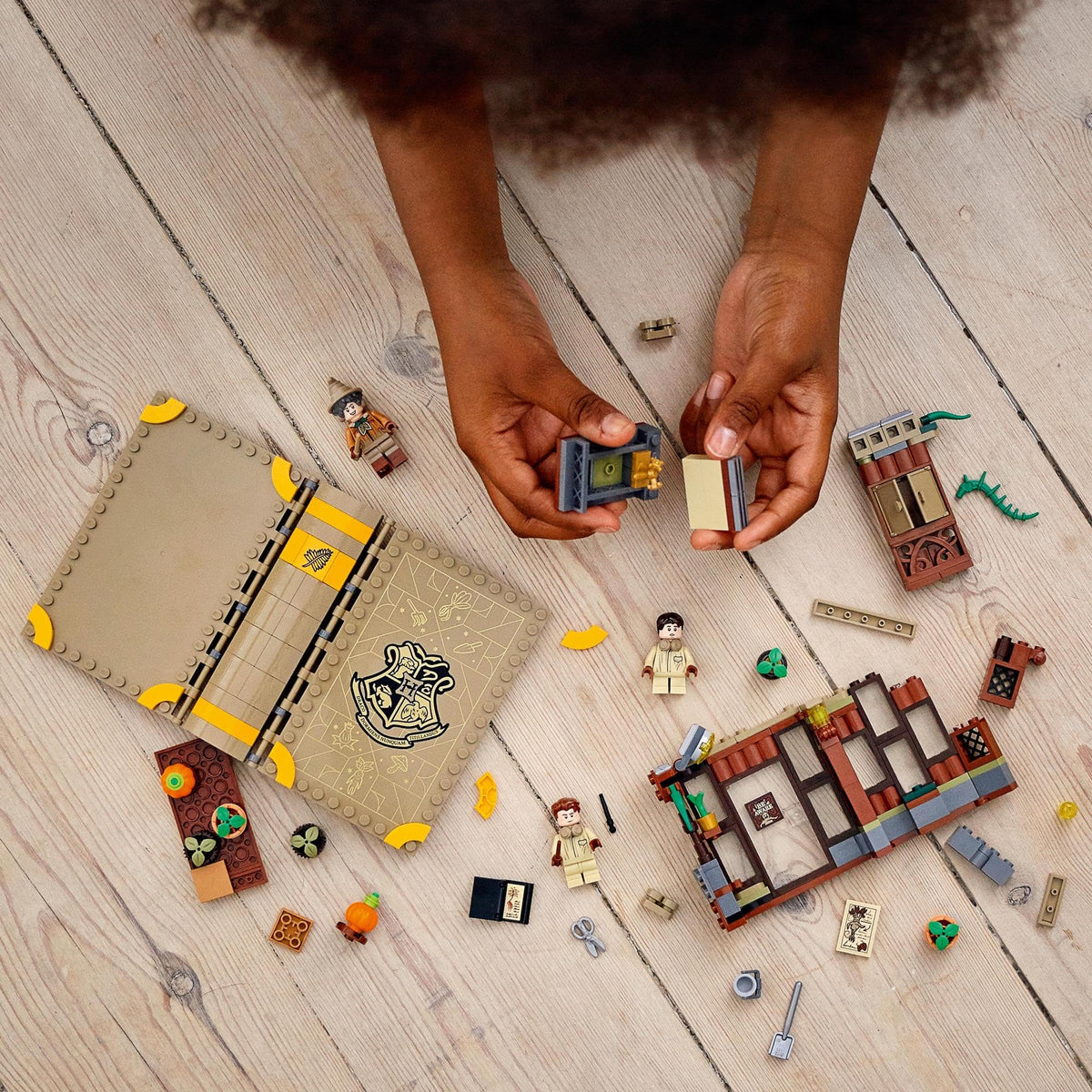 LEGO® Harry Potter™ Hogwarts™ Moment: Herbology Class 76384