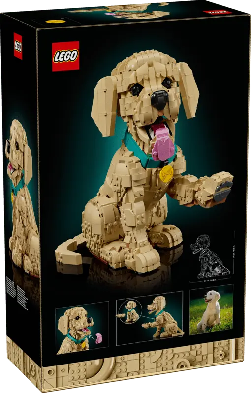 LEGO® Icons Golden Retriever Puppy 11384 Box