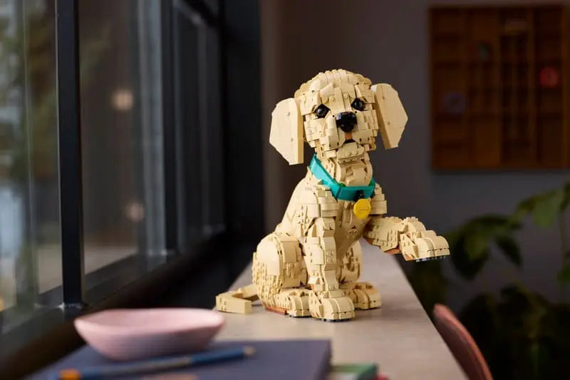 LEGO® Icons Golden Retriever Puppy 11384 displayed on a shelf next to a window