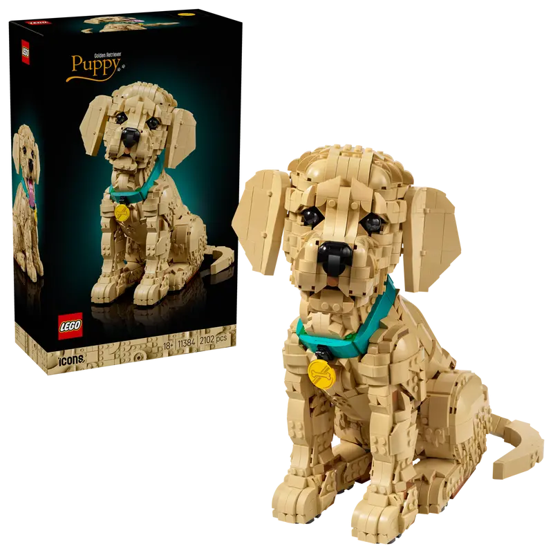 LEGO® Icons Golden Retriever Puppy 11384 with packaging