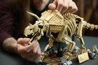 LEGO Jurassic World: Dinosaur Fossils: Triceratops 77985
