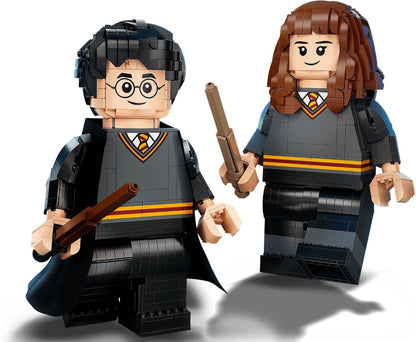 LEGO Harry Potter 76393 Harry Potter & Hermione Granger