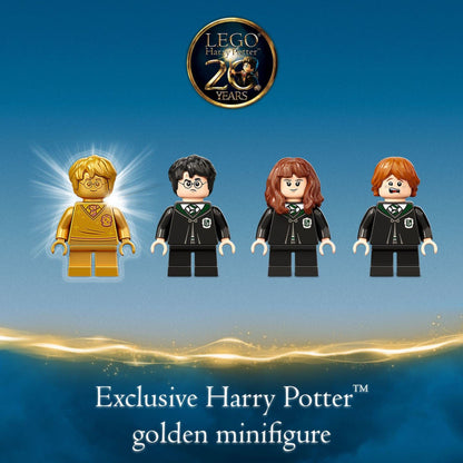 LEGO Harry Potter Hogwarts: Polyjuice Potion Mistake 76386